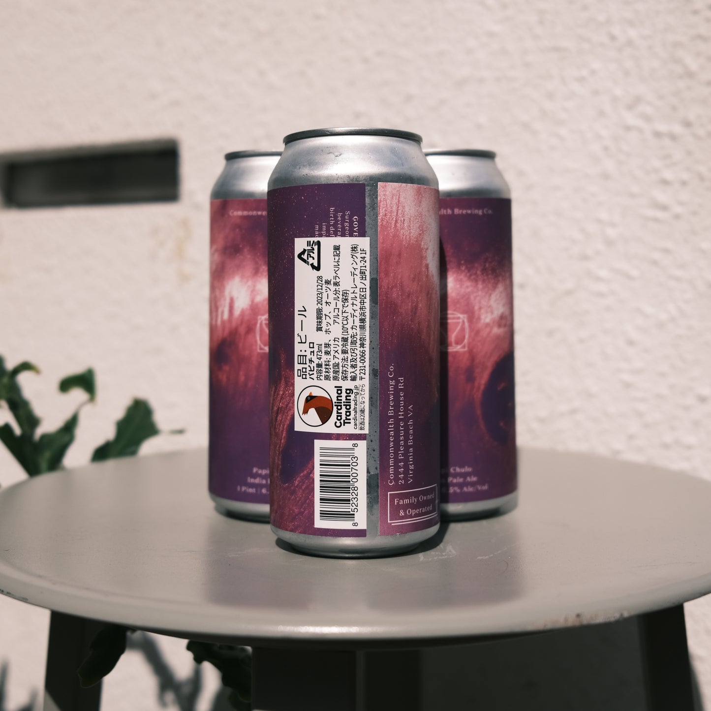 Papi Chulo -パピチュロ