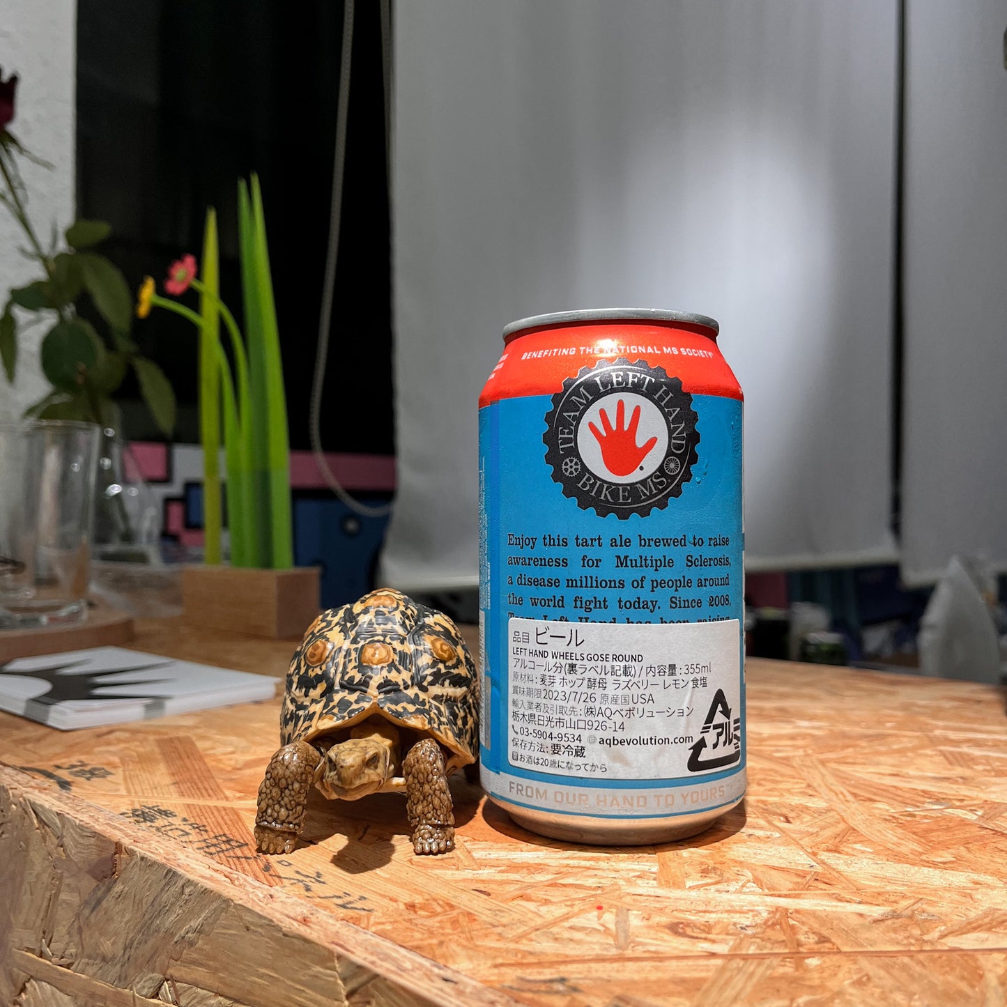 Wheels Gose Round -ホイールズ・ゴーズ・ラウンド