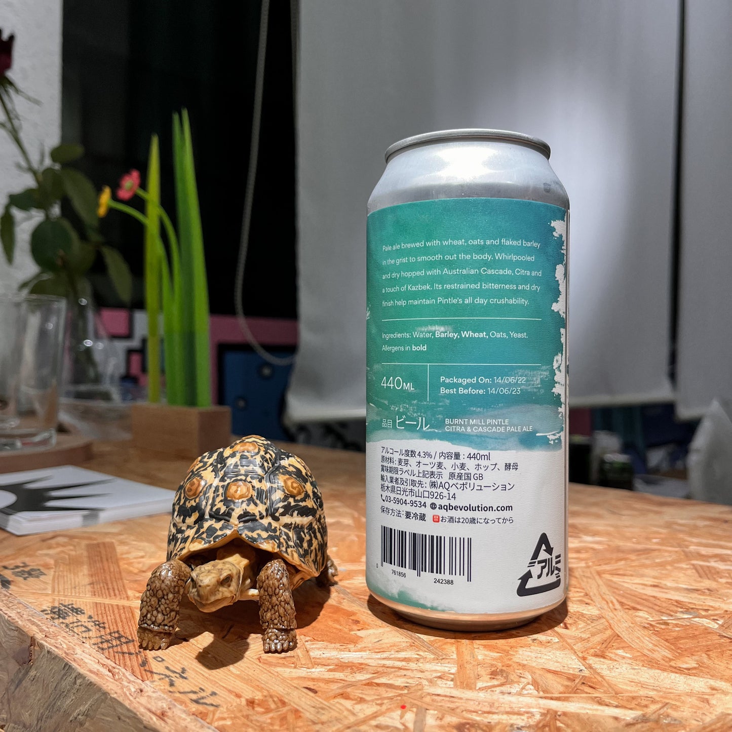 Pintle -ピントル